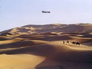 Maroc 