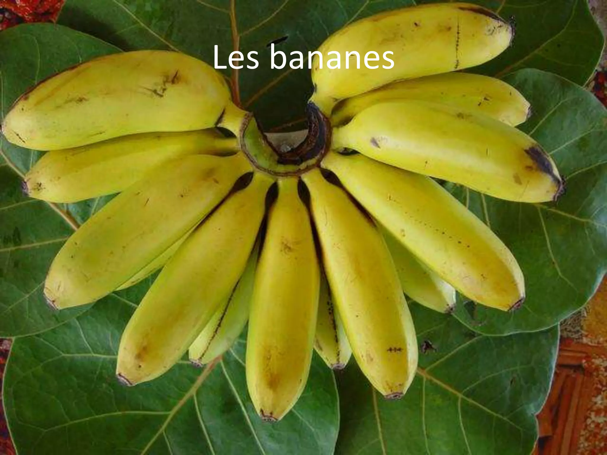 LES ALIMENTS- Beatriz 7C | PPTX