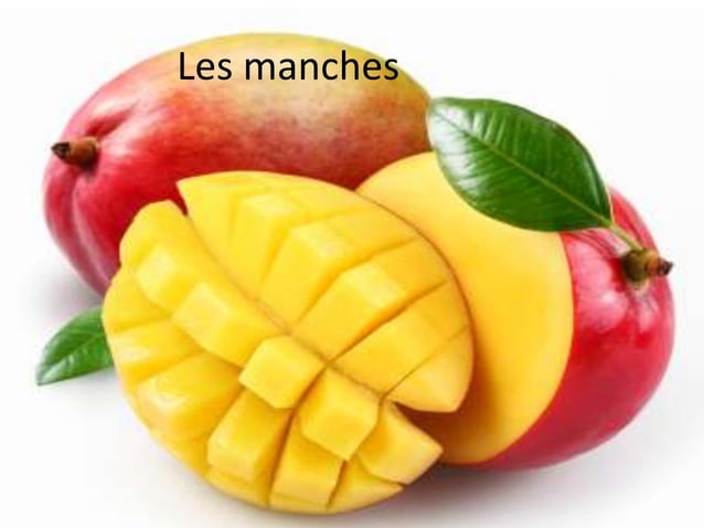 LES ALIMENTS- Beatriz 7C | PPTX