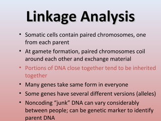 Linkage AnalysisLinkage Analysis
• Somatic cells contain paired chromosomes, one
from each parent
• At gamete formation, paired chromosomes coil
around each other and exchange material
• Portions of DNA close together tend to be inherited
together
• Many genes take same form in everyone
• Some genes have several different versions (alleles)
• Noncoding “junk” DNA can vary considerably
between people; can be genetic marker to identify
parent DNA
 