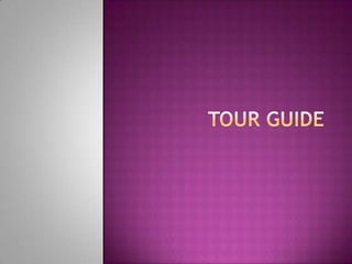 Tour guide 