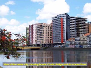 View of the center city, showing Duarte Coelho Bridge and da Aurora Street
 