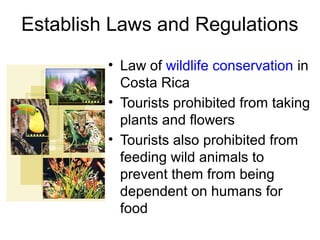 Establish Laws and Regulations
• Law of wildlife conservation in
Costa Rica
• Tourists prohibited from taking
plants and flowers
• Tourists also prohibited from
feeding wild animals to
prevent them from being
dependent on humans for
food
 