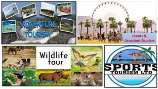 Events &
Occasions Tourism
 