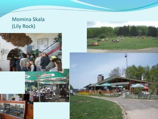 Momina Skala
(Lily Rock)
 