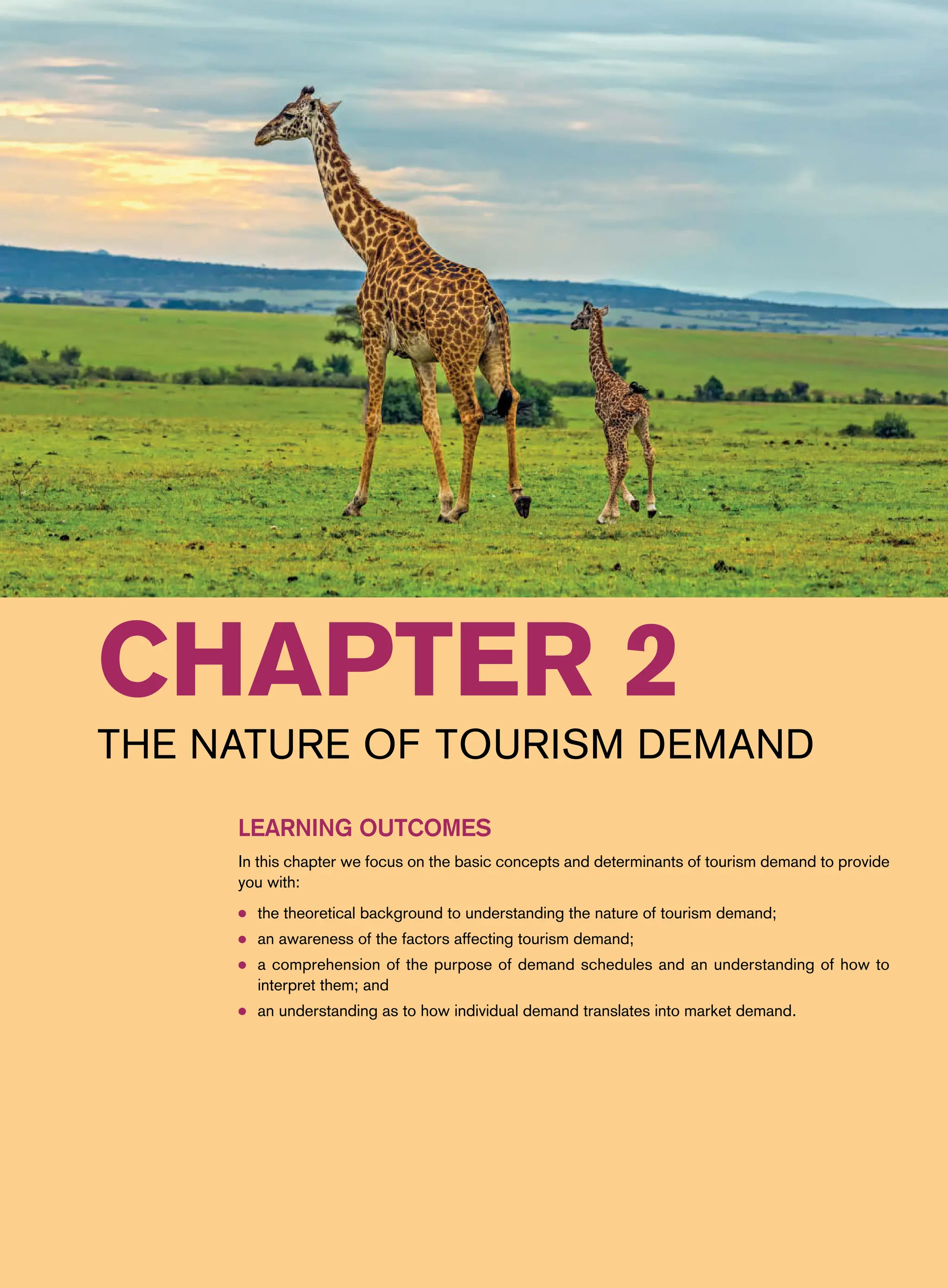 Chapter 2
The Nature of Tourism Demand
Learning Outcomes
In this chapter we focus on the basic concepts and determinants of tourism demand to provide
you with:
● the theoretical background to understanding the nature of tourism demand;
● an awareness of the factors affecting tourism demand;
● a comprehension of the purpose of demand schedules and an understanding of how to
interpret them; and
● an understanding as to how individual demand translates into market demand.
 
