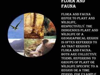 Tourism and environment | PPTX