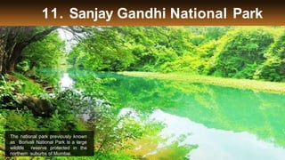 11. Sanjay Gandhi National Park
The national park previously known
as Borivali National Park is a large
wildlife reserve protected in the
northern suburbs of Mumbai.
 