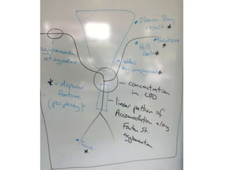 Tourism development diagrams - 3.2