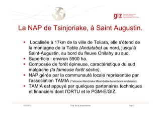 La NAP de Tsinjoriake, à Saint Augustin.
Localisée à 17km de la ville de Toliara, elle s’étend de
la montagne de la Table (Andatabo) au nord, jusqu’à
Saint-Augustin, au bord du fleuve Onilahy au sud.
Superficie : environ 5900 ha.
Page 3Titre de la présentation10/07/2013
Superficie : environ 5900 ha.
Composée de forêt épineuse, caractéristique du sud
malgache (la fameuse forêt sèche).
NAP gérée par la communauté locale représentée par
l’association TAMIA (Tahosoa Alandriake Mitambatse Ianantsona Andatabo).
TAMIA est appuyé par quelques partenaires techniques
et financiers dont l’ORTU et le PGM-E/GIZ.
 