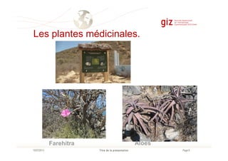 Les plantes médicinales.
Page 8Titre de la présentation10/07/2013
Farehitra Aloes
 