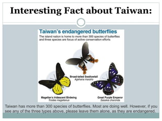 Interesting Fact about Taiwan:
Taiwan has more than 300 species of butterflies. Most are doing well. However, if you
see any of the three types above, please leave them alone, as they are endangered.
 