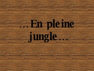 …  En pleine jungle… 