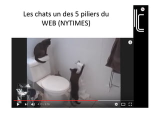 Les	chats	un	des	5	piliers	du	
WEB	(NYTIMES)		
 