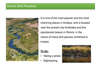 Demre Bird Paradise
It is one of the most popular and the most
charming places in Antalya, and is located
near the ancient city Andreake and this
spectacular beauty in Demre, in the
nature of many bird species combined is
hosted.
To do:
• Taking a photo
• Sightseeing
 