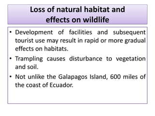 Loss of natural habitat and
effects on wildlife
• Development of facilities and subsequent
tourist use may result in rapid or more gradual
effects on habitats.
• Trampling causes disturbance to vegetation
and soil.
• Not unlike the Galapagos Island, 600 miles of
the coast of Ecuador.

 