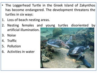 • The Loggerhead Turtle in the Greek Island of Zakynthos
has become endangered. The development threatens the
turtles in six ways:
1. Loss of beach nesting areas.
2. Nesting females and young turtles disoriented by
artificial illumination.
3. Noise
4. Traffic
5. Pollution
6. Activities in water

 