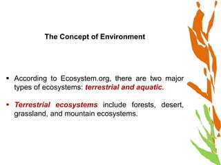 Tourism Impacts on the Environment.pptx