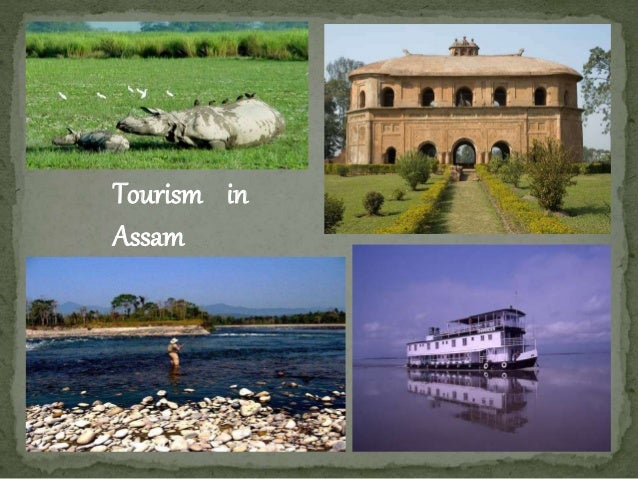 essay on tourism potential of assam