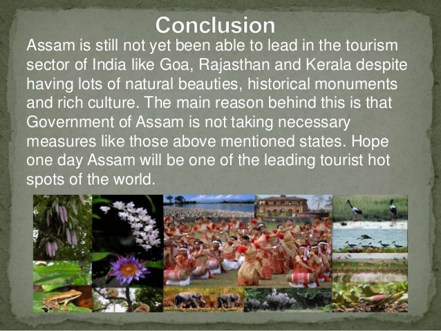tourism industry of assam essay