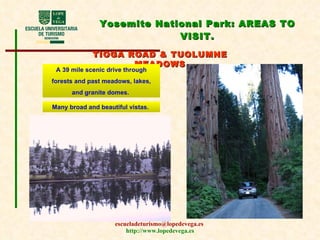 Yosemite National Park:  AREAS TO VISIT . TIOGA ROAD & TUOLUMNE MEADOWS A 39 mile scenic drive through forests and past meadows, lakes, and granite domes.  Many broad and beautiful vistas.  