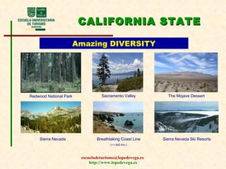 CALIFORNIA STATE Amazing DIVERSITY Redwood National Park Sacramento Valley The Mojave Dessert Breathtaking Coast Line (+1,500 Km.) Sierra Nevada Sierra Nevada Ski Resorts  