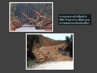 การบุกรุกถางป่าเพื่อสร้าง
ที่พัก ร้านอาหาร เพื่ออำานวย
ความสะดวกแก่นักท่องเที่ยว
 
