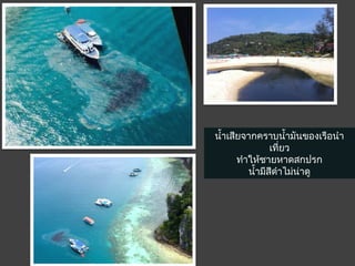 นำ้ำเสียจำกครำบนำ้ำมันของเรือนำำ
เที่ยว
ทำำให้ชำยหำดสกปรก
นำ้ำมีสีดำำไม่น่ำดู
 