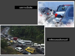 มลภำวะเป็นพิษ
รถติดบนดอยอินทนนท์
 