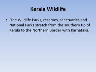Tourism in kerala | PPTX
