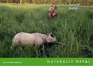 JungleJungle
SafariSafari
www.welcomenepal.com
 