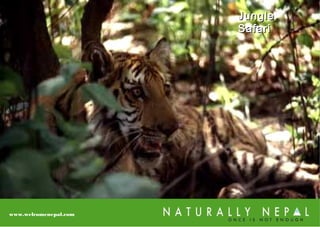 JungleJungle
SafariSafari
www.welcomenepal.com
 