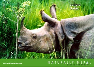 JungleJungle
SafariSafari
www.welcomenepal.com
 