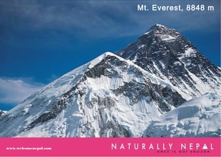 Mt. Everest, 8848 m
www.welcomenepal.com
 