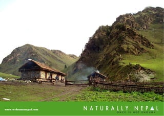 www.welcomenepal.com
 