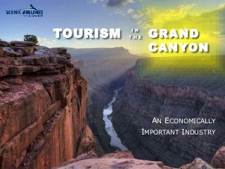 TOURISM 
GRAND 
CANYON 
AN ECONOMICALLY 
IMPORTANT INDUSTRY 
I N 
T H E 
 
