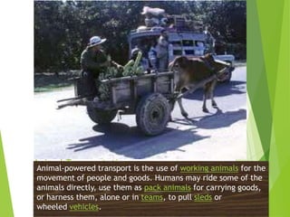 Animal Transportations is the use of working animals for the
Animal-powered transport
movement of people and goods. Humans may ride some of the
animals directly, use them as pack animals for carrying goods,
or harness them, alone or in teams, to pull sleds or
wheeled vehicles.

 