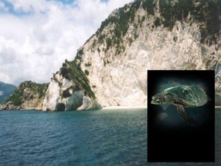 Greek Island of Zakynthos

 