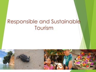 Responsible and Sustainable
Tourism

Bruno Maia/Naturezafotos.org

Bruno Maia/Naturezafotos.org

Bruno Maia/Naturezafotos.org

 