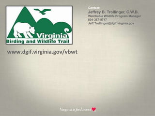Contact:  Jeffrey B. Trollinger, C.W.B.Watchable Wildlife Program Manager804-367-8747    Jeff.Trollinger@dgif.virginia.govwww.dgif.virginia.gov/vbwt