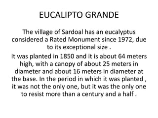 EUCALIPTO GRANDE
The village of Sardoal has an eucalyptus
considered a Rated Monument since 1972, due
to its exceptional size .
It was planted in 1850 and it is about 64 meters
high, with a canopy of about 25 meters in
diameter and about 16 meters in diameter at
the base. In the period in which it was planted ,
it was not the only one, but it was the only one
to resist more than a century and a half .
 