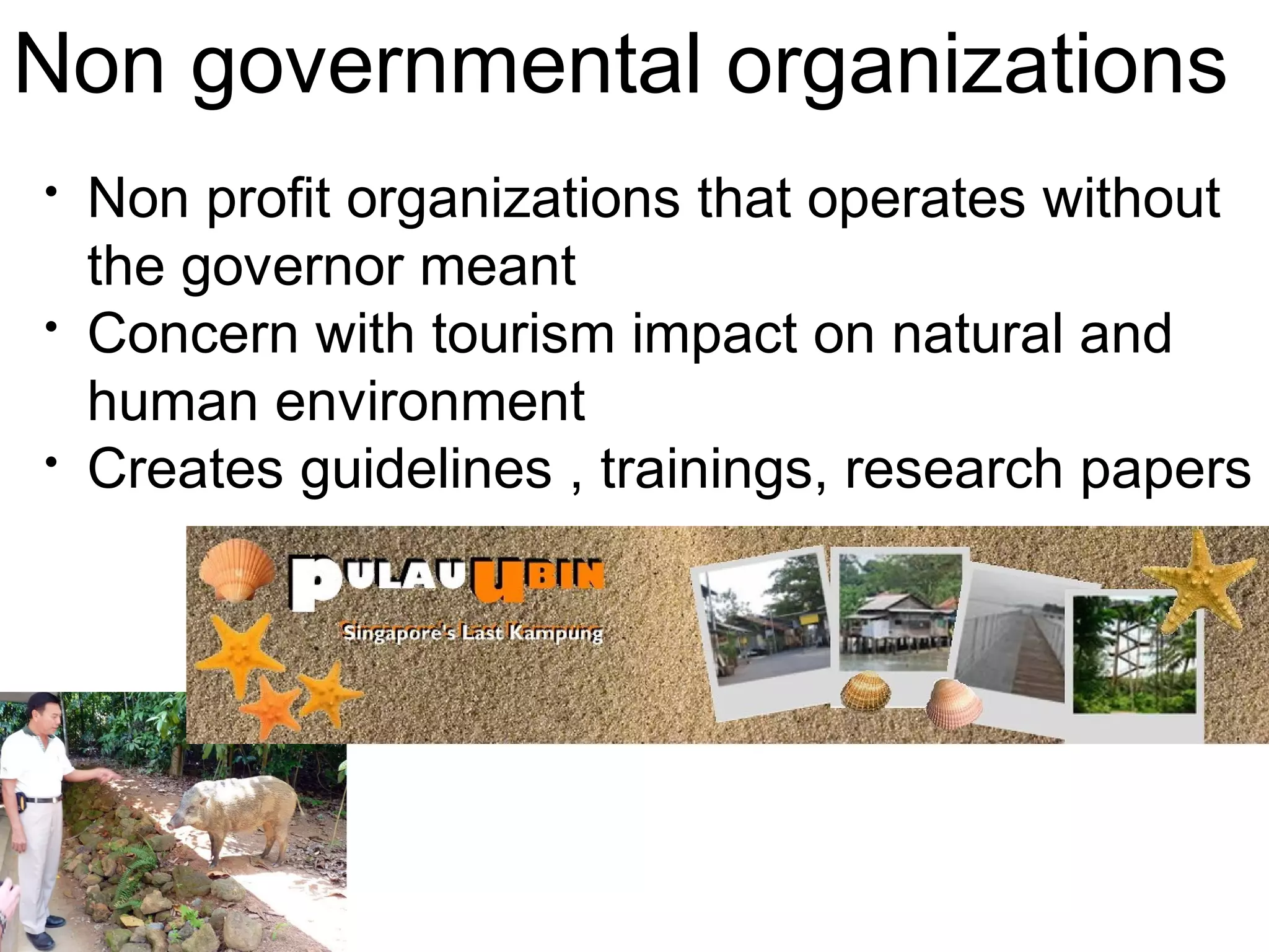 Non governmental organizations 
• Non profit organizations that operates without 
the governor meant 
• Concern with tourism impact on natural and 
human environment 
• Creates guidelines , trainings, research papers 
 