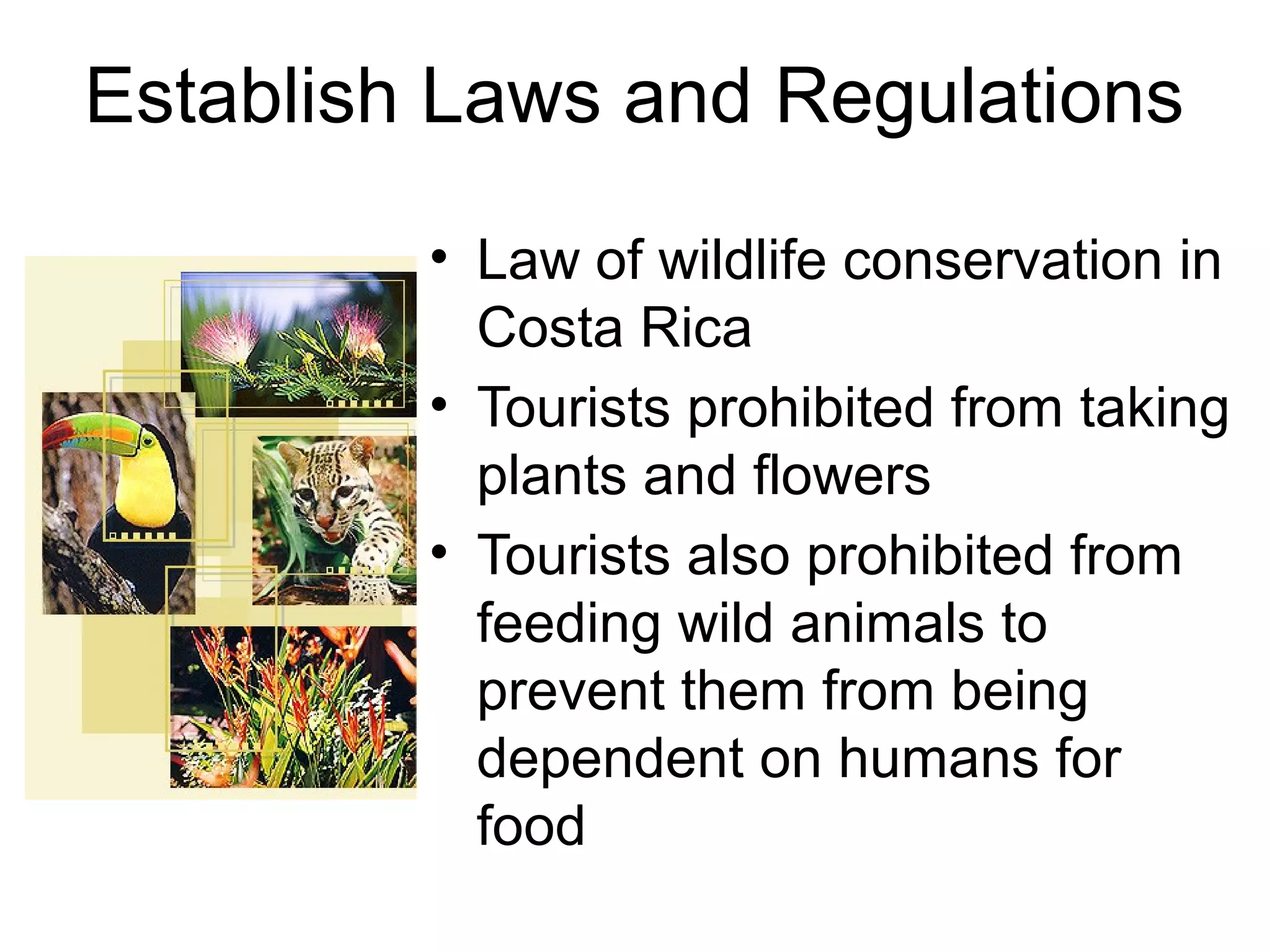 Establish Laws and Regulations 
• Law of wildlife conservation in 
Costa Rica 
• Tourists prohibited from taking 
plants and flowers 
• Tourists also prohibited from 
feeding wild animals to 
prevent them from being 
dependent on humans for 
food 
 