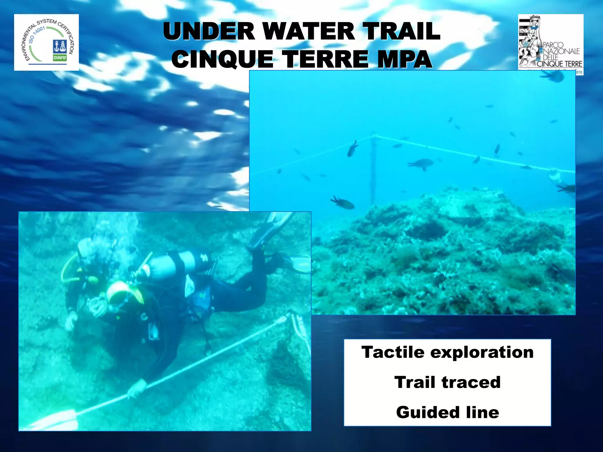 Scuba Path Case Study 1: The Underwater Trail for Disabled SCUBA Divers | PDF
