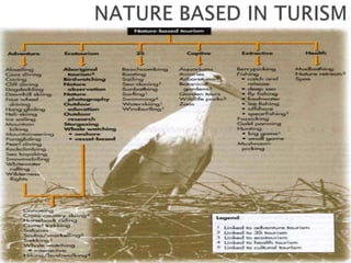 NATURE BASED IN TURISM