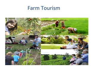 Farm Tourism
 