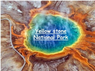 Yellow stone
National Park
 