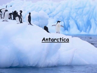 Antarctica
 