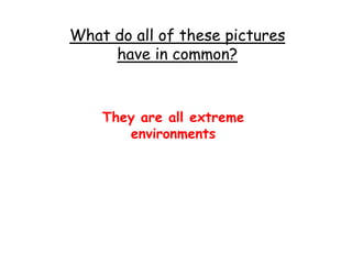 What do all of these pictures
have in common?
They are all extreme
environments
 