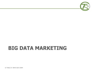 © Toedt, Dr. Selk & Coll. GmbH
BIG DATA MARKETING
 